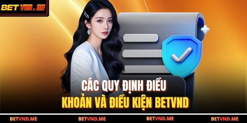 Điều Khoản Và Điều Kiện Betvnd 1 Các quy định điều khoản và điều kiện Betvnd