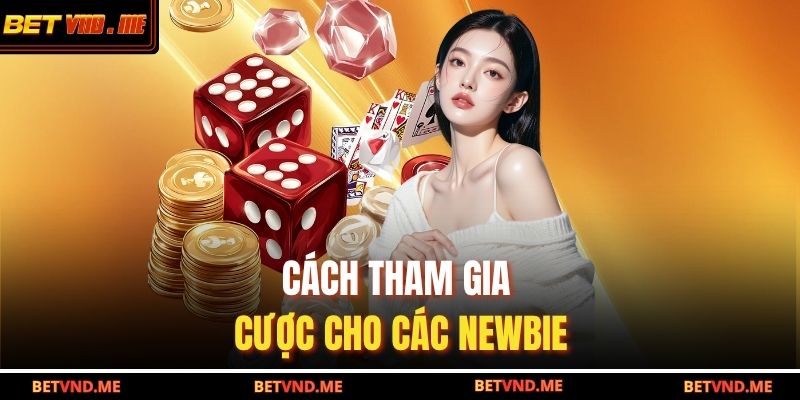 Cách tham gia cược cho các newbie