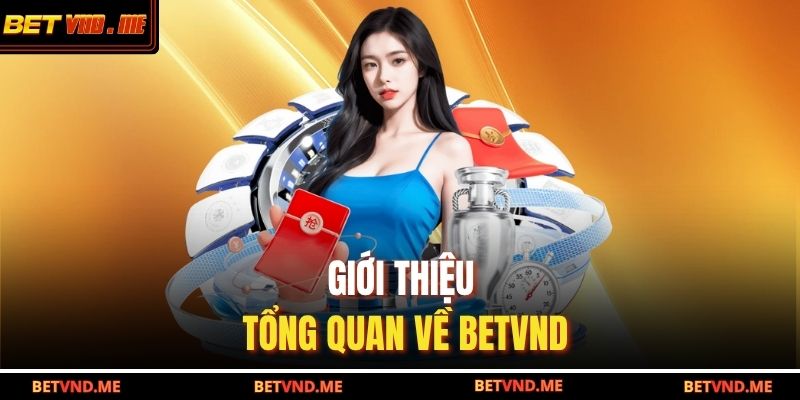 Giới thiệu tổng quan về BETVND