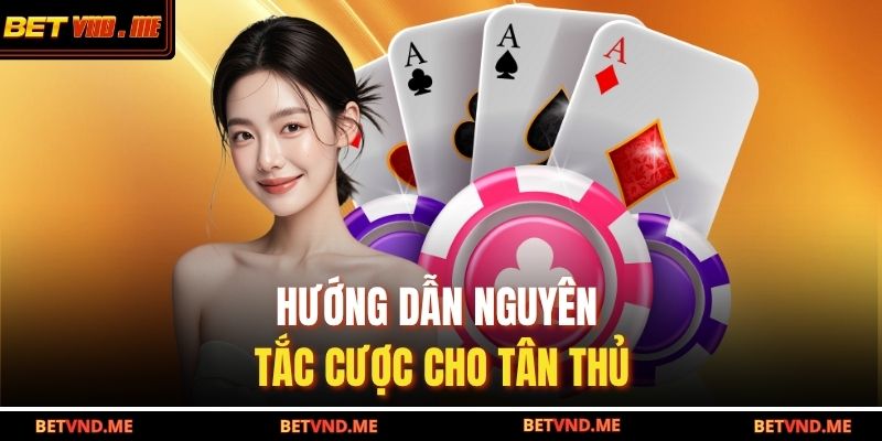 Tổng quan về Baccarat BETVND